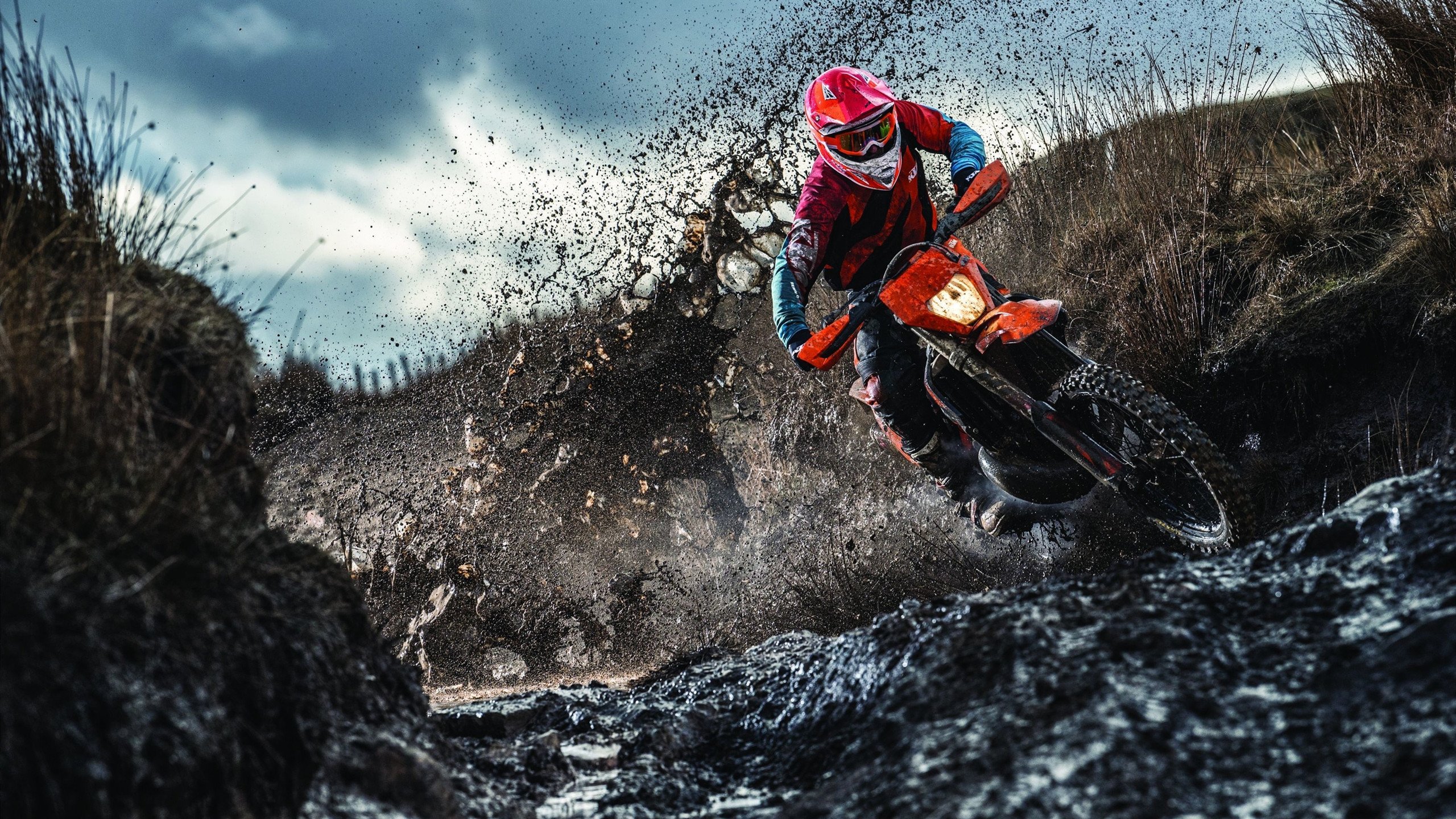 特色“绿色+智慧”场馆示范工程不断开花结果，行业基础不断夯实